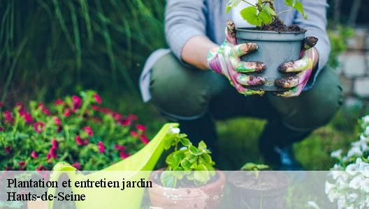 Plantation et entretien jardin Hauts-de-Seine 