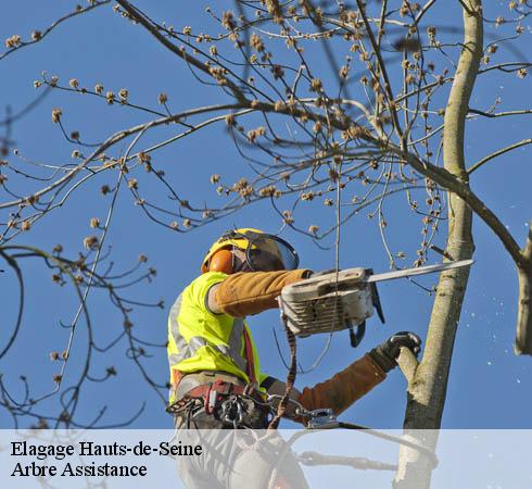 Elagage 92 Hauts-de-Seine Arbre Assistance
