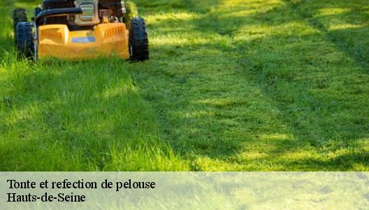 Tonte et refection de pelouse Hauts-de-Seine