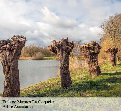 Etetage marnes-la-coquette-92430 Arbre Assistance