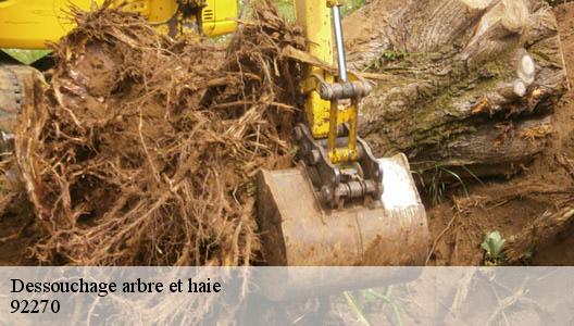 Dessouchage arbre et haie 92270
