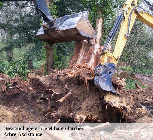 Dessouchage arbre et haie garches-92380 Arbre Assistance