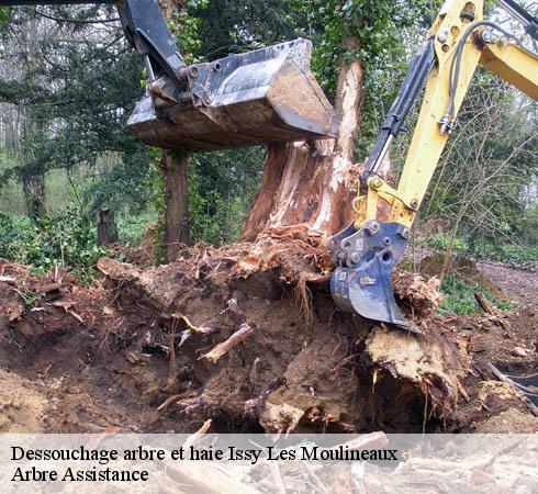 Dessouchage arbre et haie issy-les-moulineaux-92130 Arbre Assistance