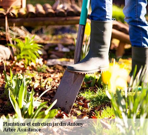 Plantation et entretien jardin antony-92160 Arbre Assistance