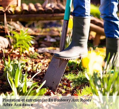 Plantation et entretien jardin  fontenay-aux-roses-92260 M. Schmitt