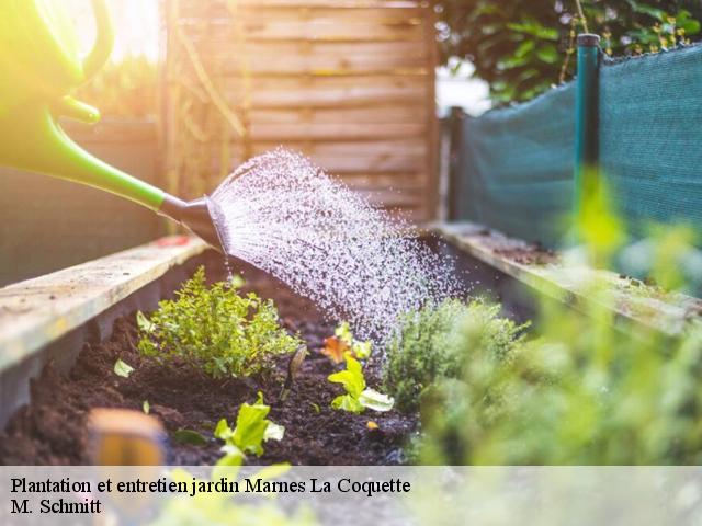 Plantation et entretien jardin  marnes-la-coquette-92430 M. Schmitt