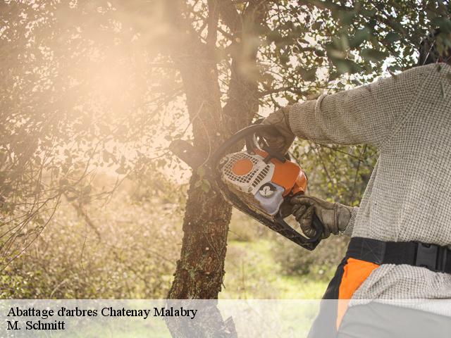 Abattage d'arbres  chatenay-malabry-92290 WE Elagage