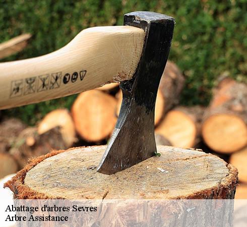 Abattage d'arbres sevres-92310 Arbre Assistance