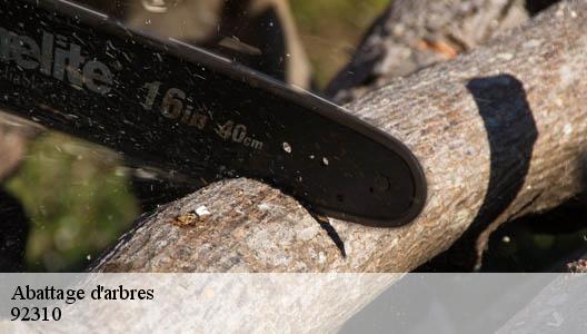 Abattage d'arbres 92310