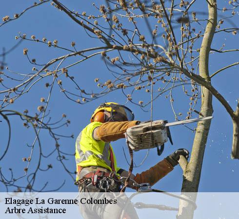 Elagage la-garenne-colombes-92250 Arbre Assistance