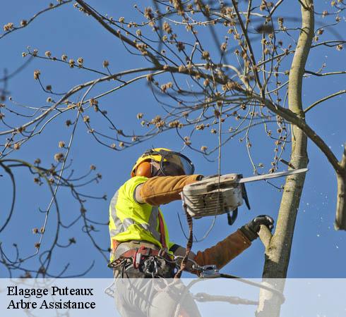 Elagage puteaux-92800 Arbre Assistance