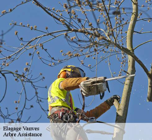 Elagage vanves-92170 Arbre Assistance