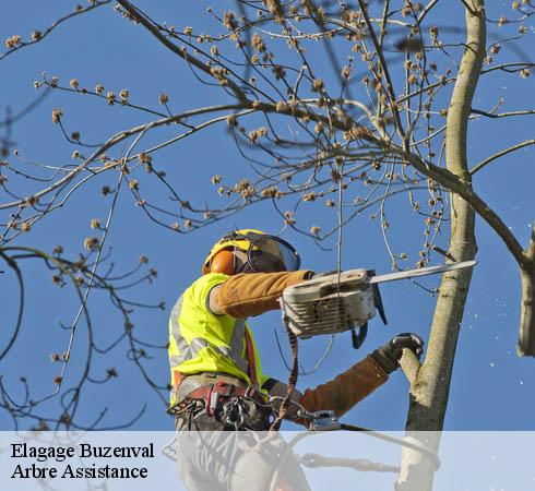 Elagage buzenval-92500 Arbre Assistance