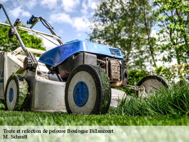 Tonte et refection de pelouse  boulogne-billancourt-92100 M. Schmitt