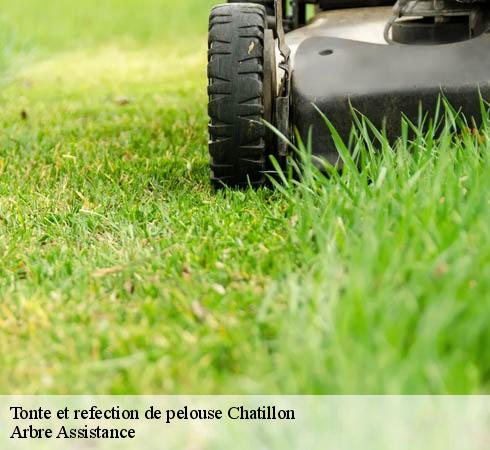 Tonte et refection de pelouse chatillon-92320 Arbre Assistance