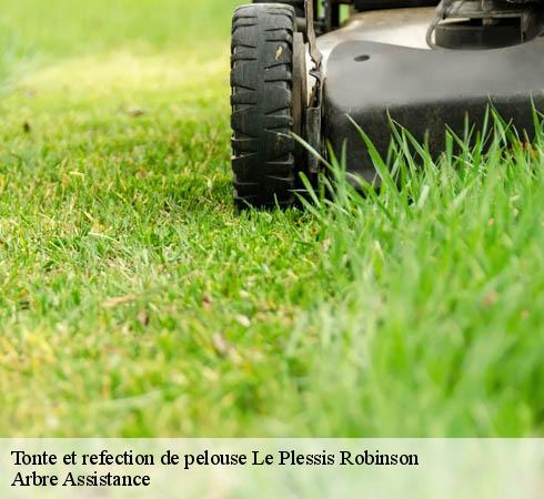 Tonte et refection de pelouse le-plessis-robinson-92350 Arbre Assistance
