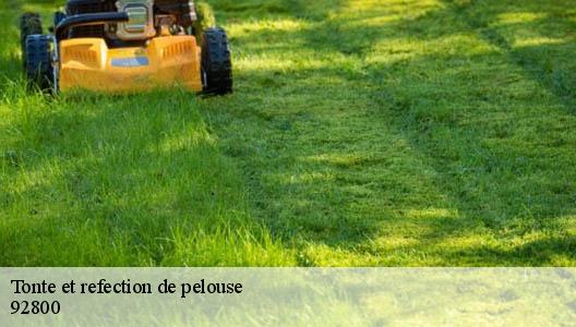 Tonte et refection de pelouse  92800