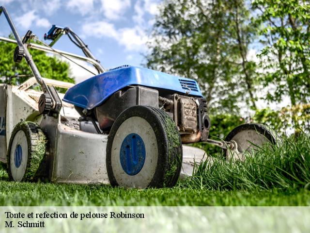 Tonte et refection de pelouse  robinson-92350 M. Schmitt