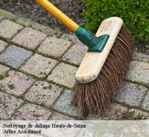Nettoyage de dallage 92 Hauts-de-Seine Arbre Assistance