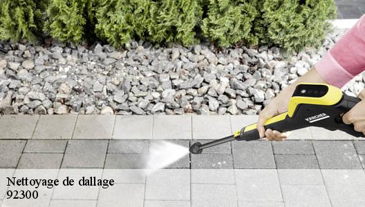 Nettoyage de dallage 92300