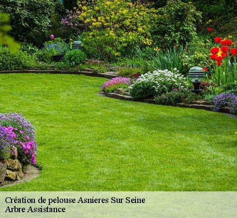 Création de pelouse asnieres-sur-seine-92600 Arbre Assistance
