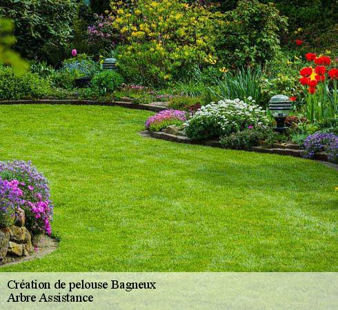Création de pelouse bagneux-92220 Arbre Assistance