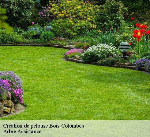 Création de pelouse bois-colombes-92270 Arbre Assistance