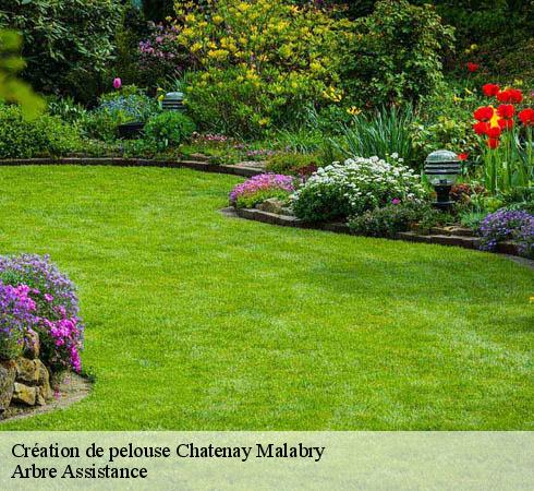 Création de pelouse chatenay-malabry-92290 Arbre Assistance