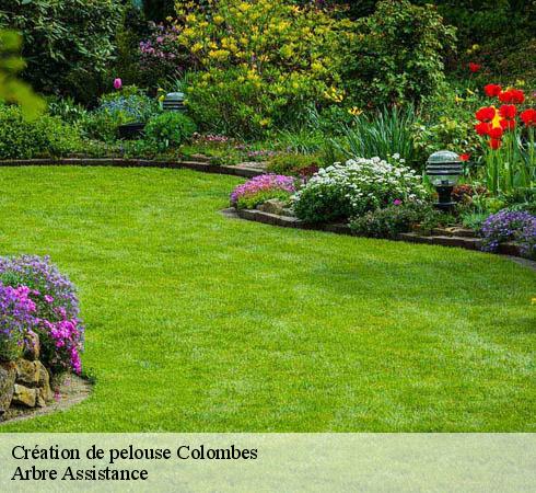 Création de pelouse colombes-92700 Arbre Assistance