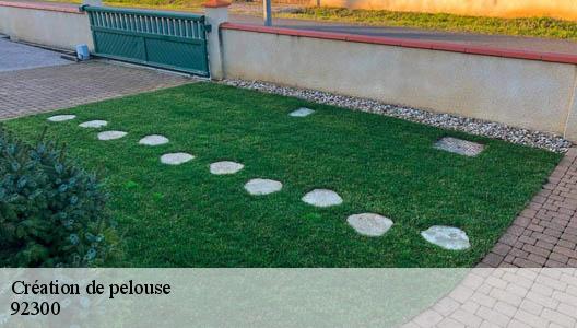 Création de pelouse 92300