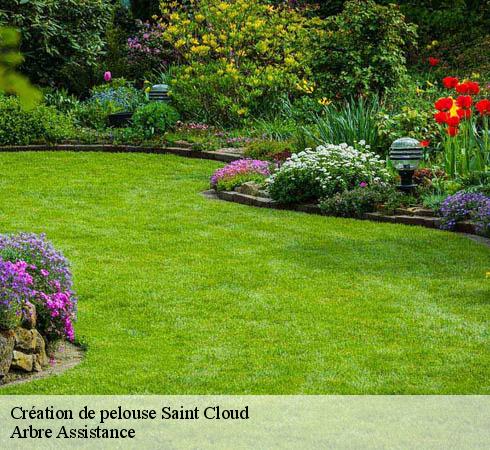Création de pelouse saint-cloud-92210 Arbre Assistance