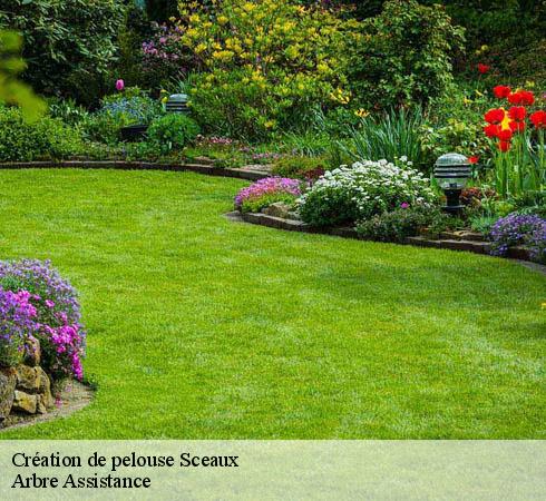 Création de pelouse sceaux-92330 Arbre Assistance