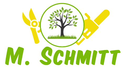 M. Schmitt