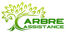 elagage-arbre-assistance